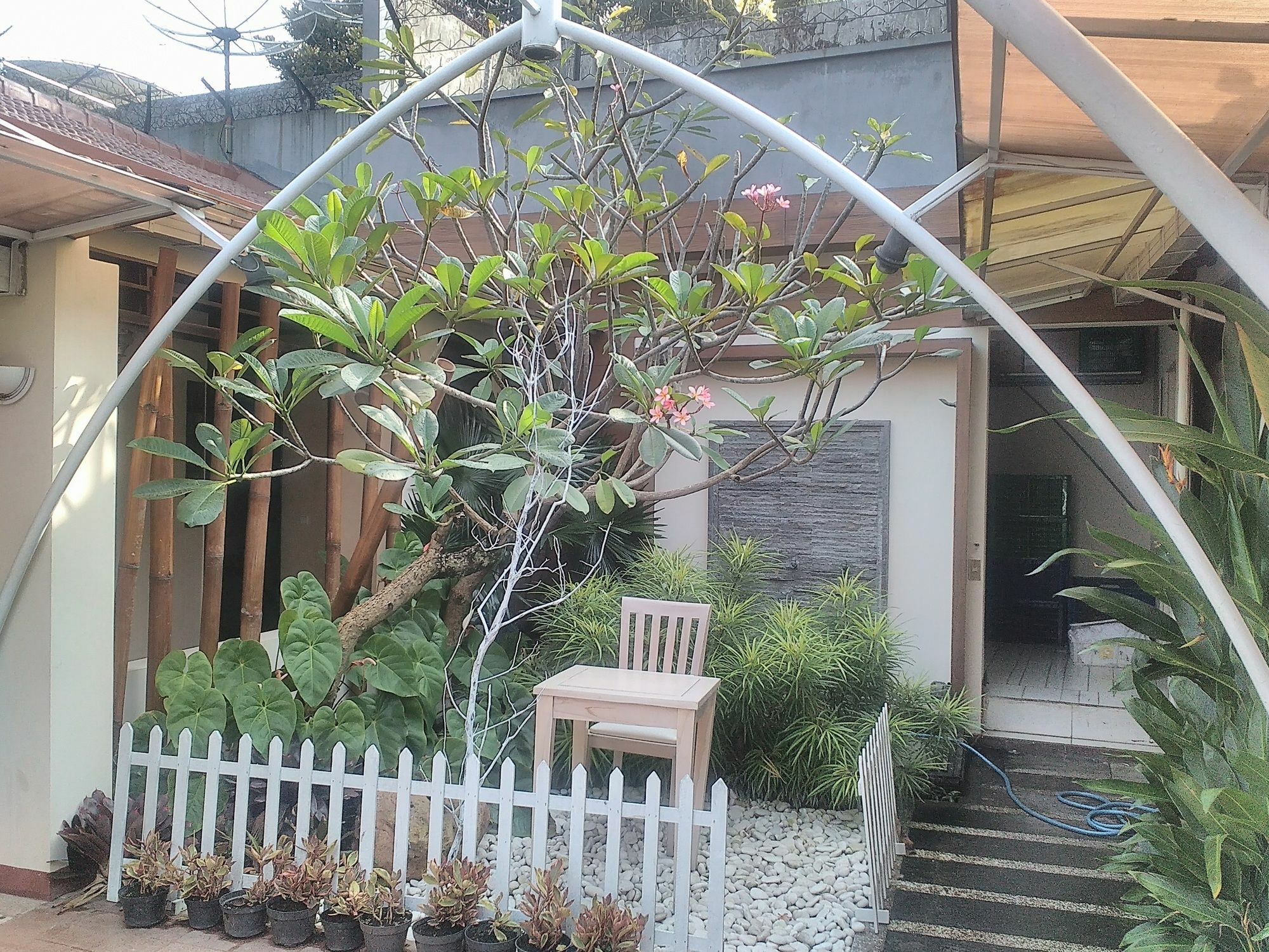 Lovender Guesthouse Malang Exterior photo